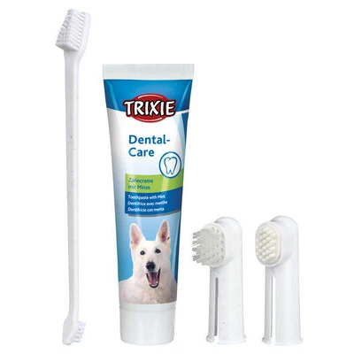 Köpek Diş Temizleme Kiti